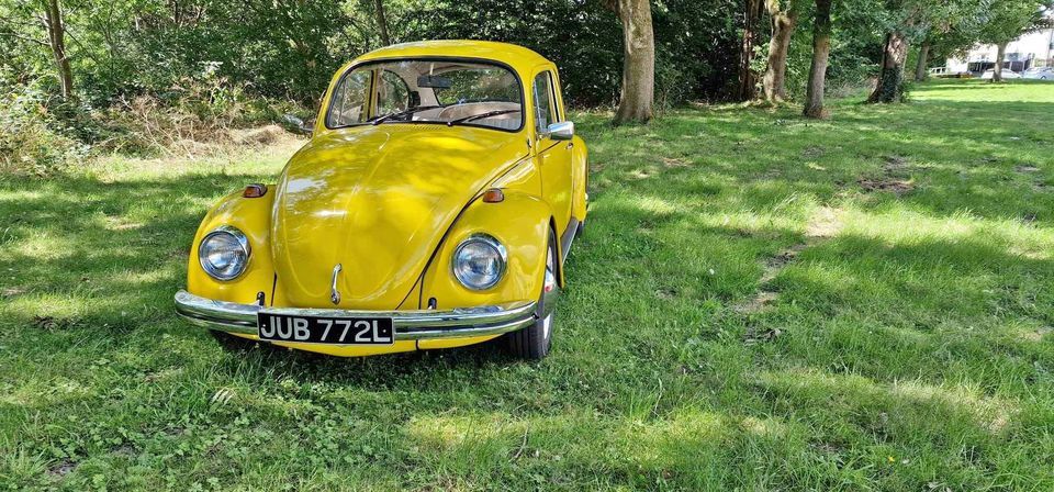 1972 Volkswagen Beetle Image