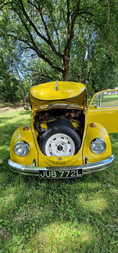 1972 Volkswagen Beetle Image