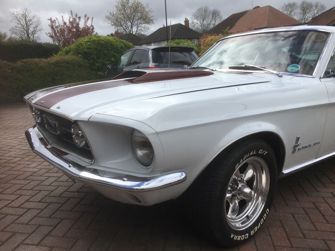 1967 Ford Mustang Fastback Image