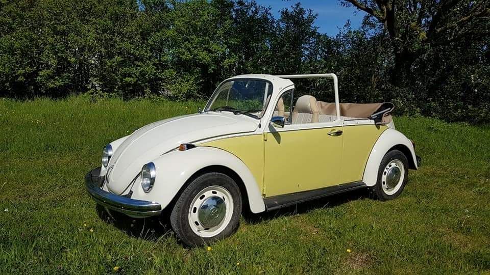 1971 Volkswagen Beetle Image