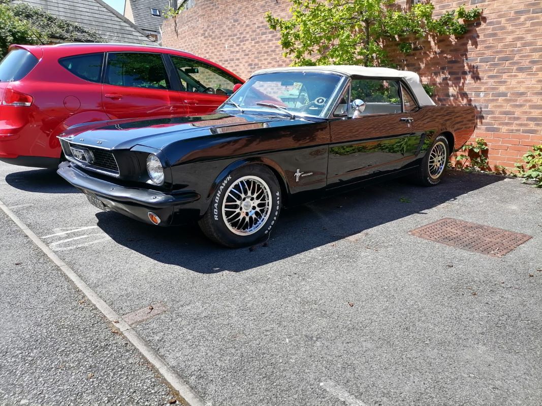 1966 Ford Mustang Image