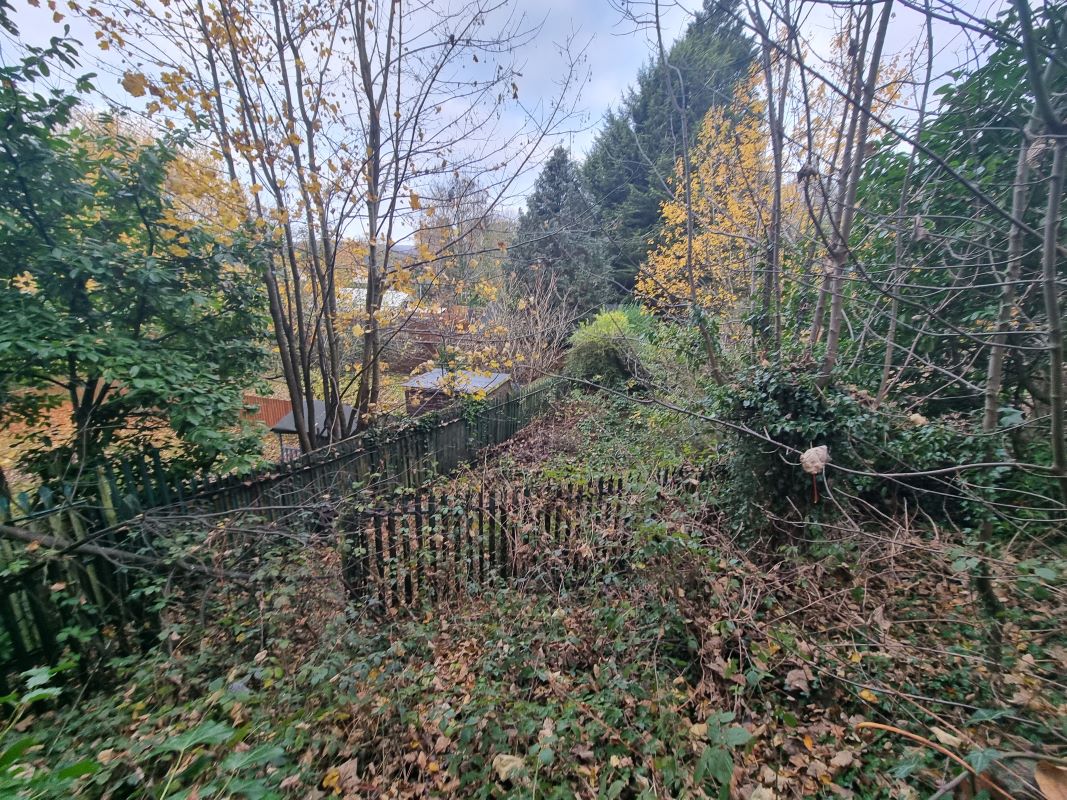 Search Results Online Auctions