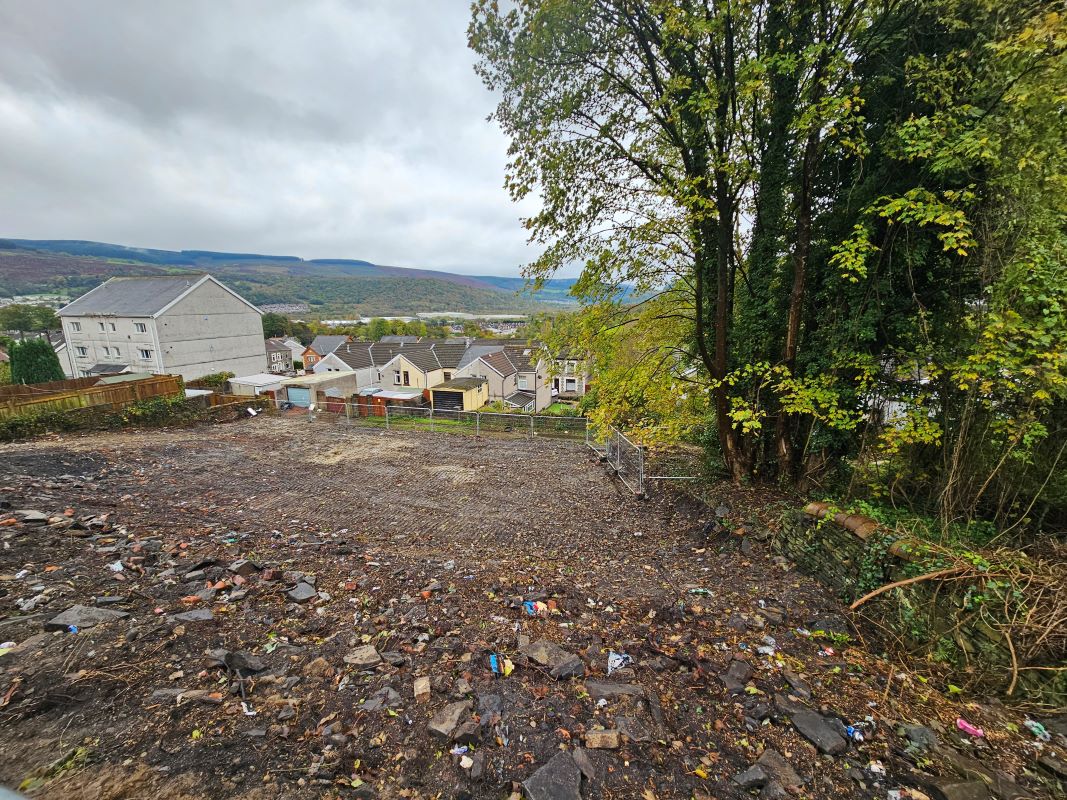 Lot Image
