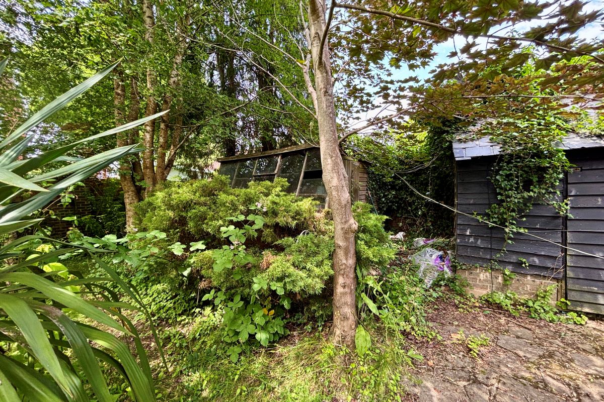 Lot Image