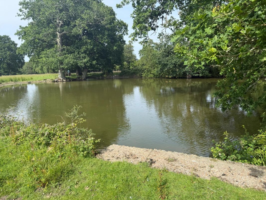 Lot Image
