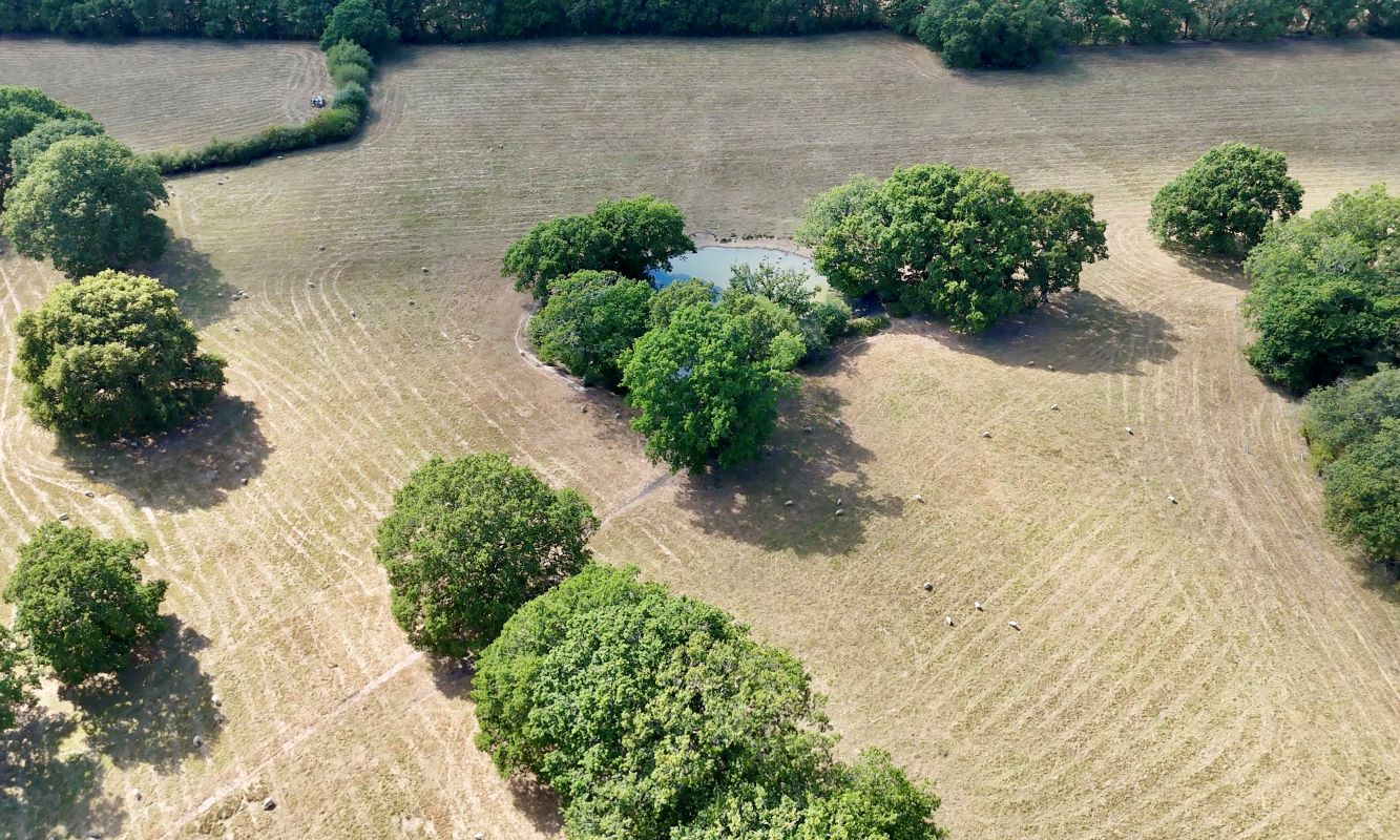 Lot Image