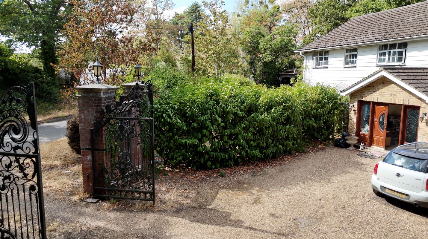 Lot Image