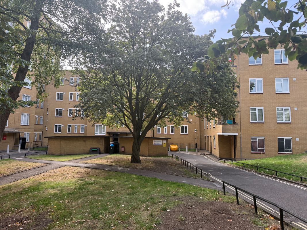 Lot Image