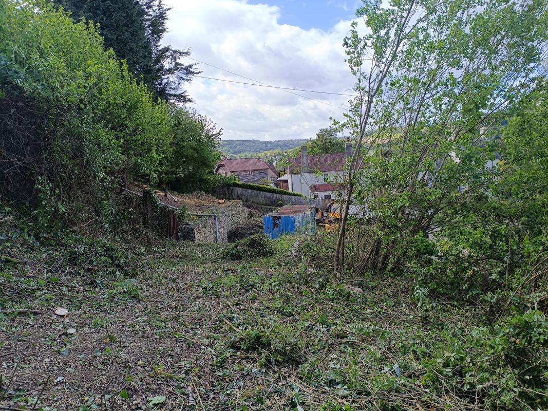 Lot Image