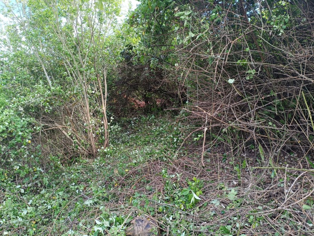 Lot Image
