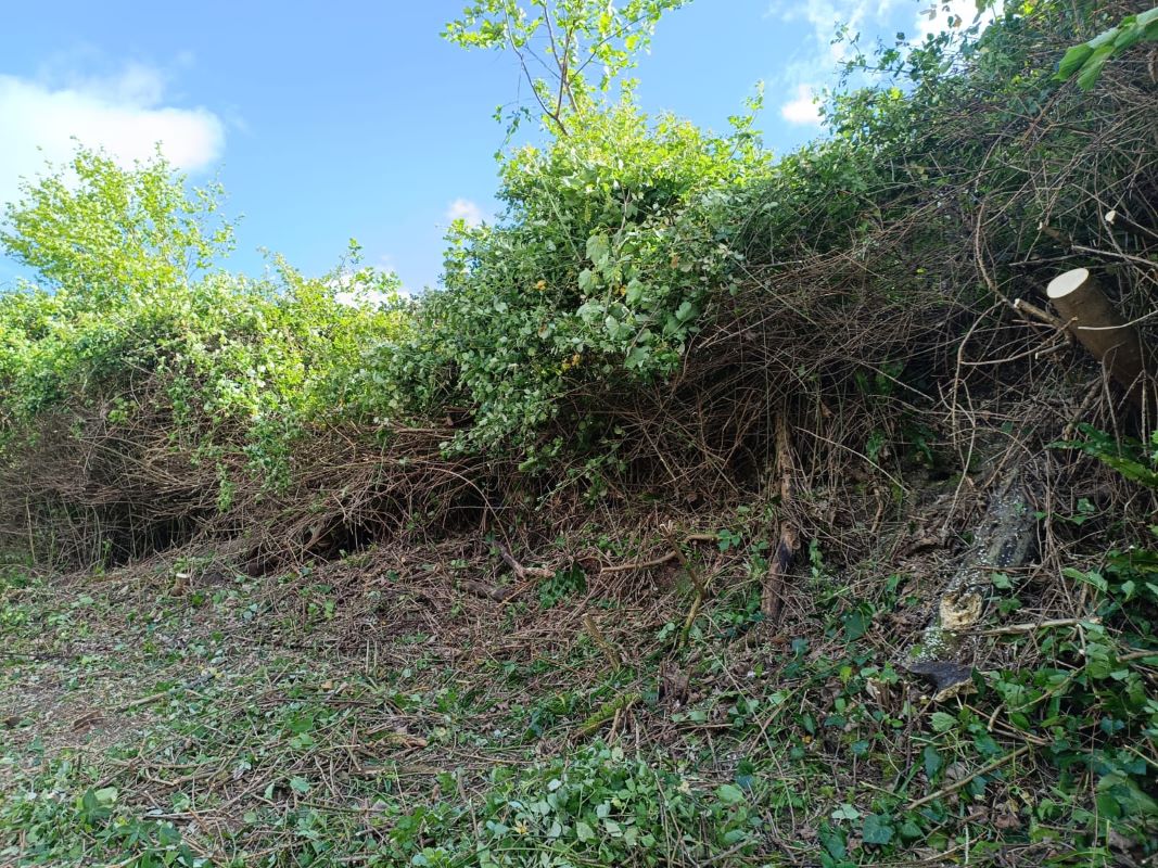 Lot Image