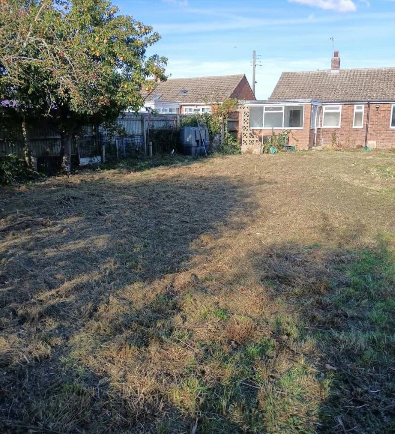 Lot Image