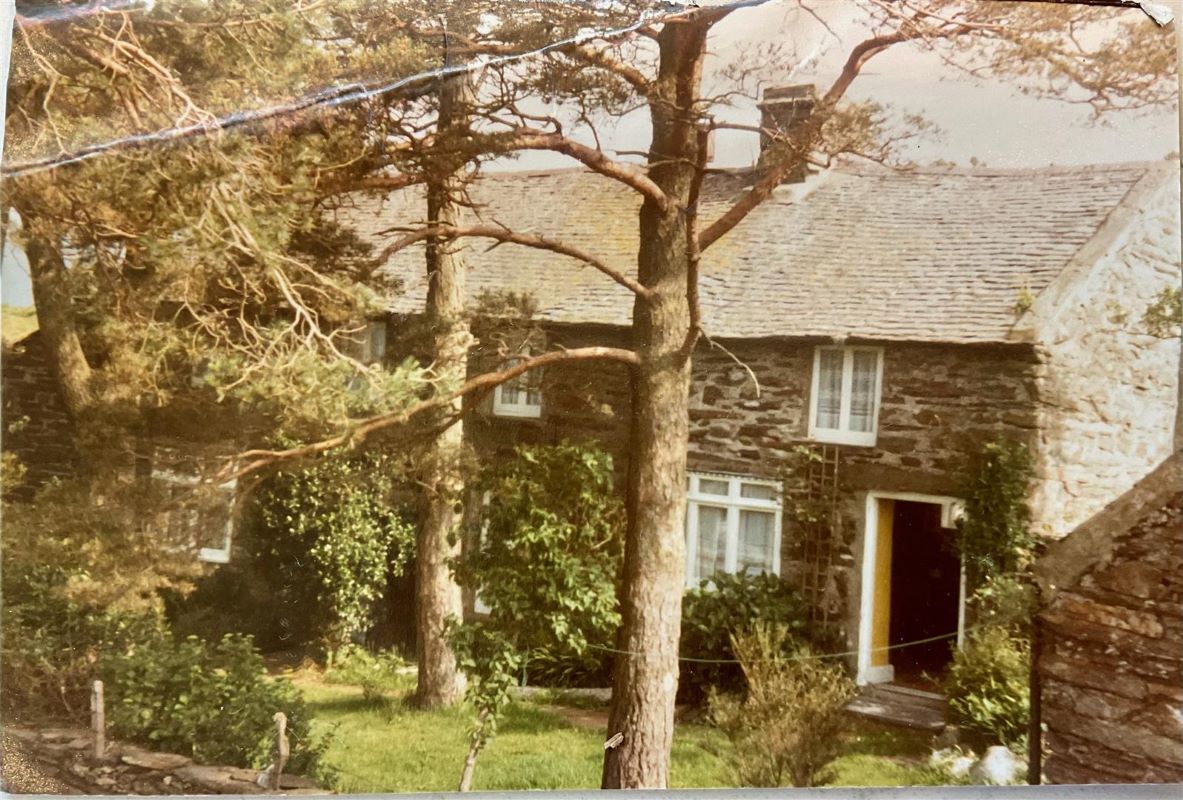 Lot Image