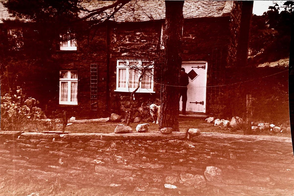 Lot Image