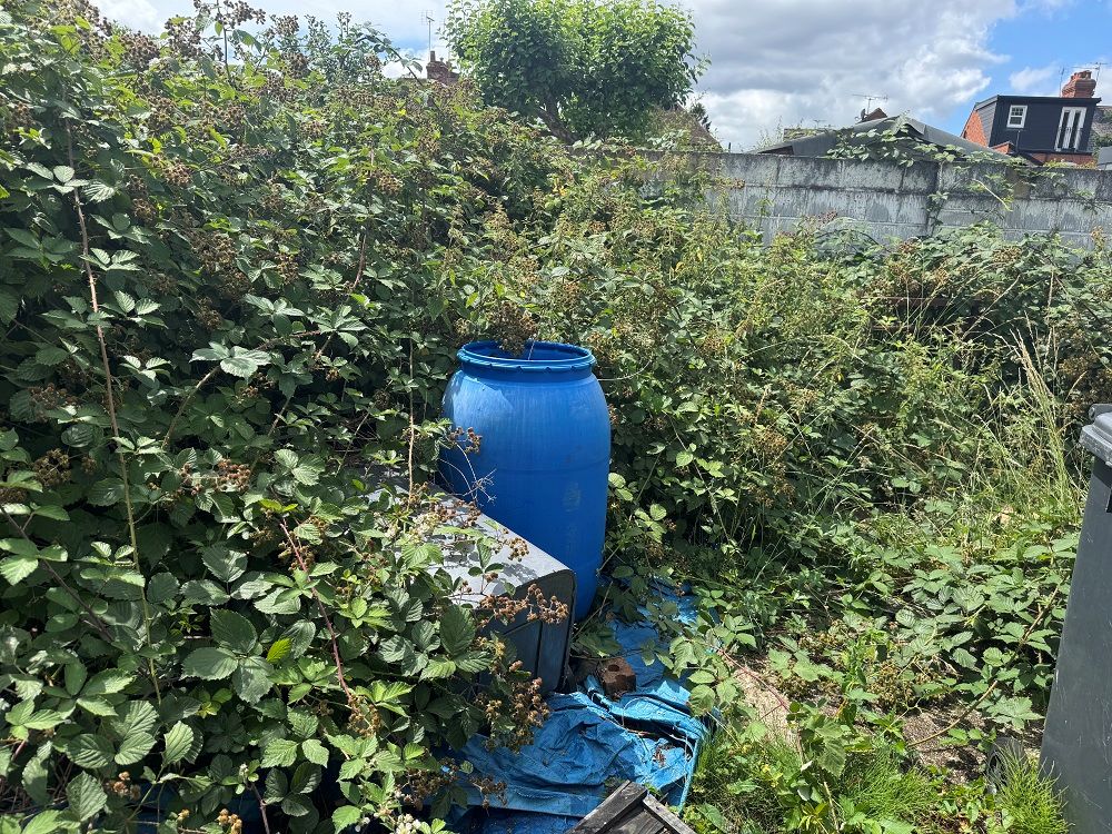 Lot Image