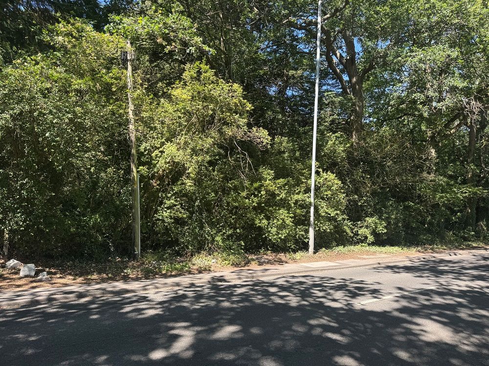 Primary Lot Photo