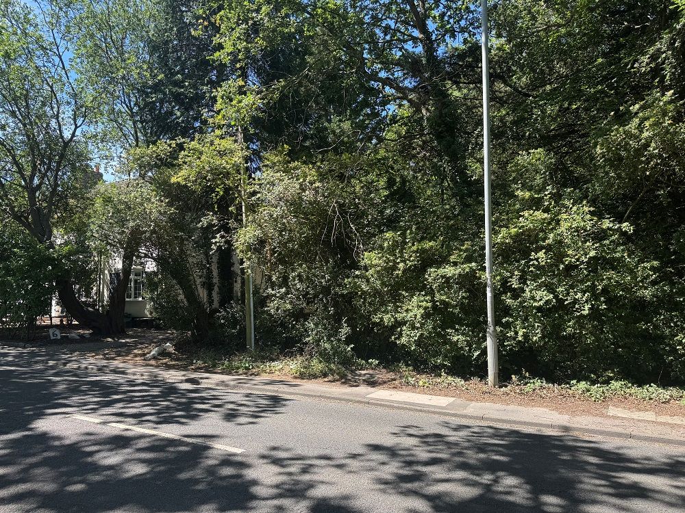 Lot Image