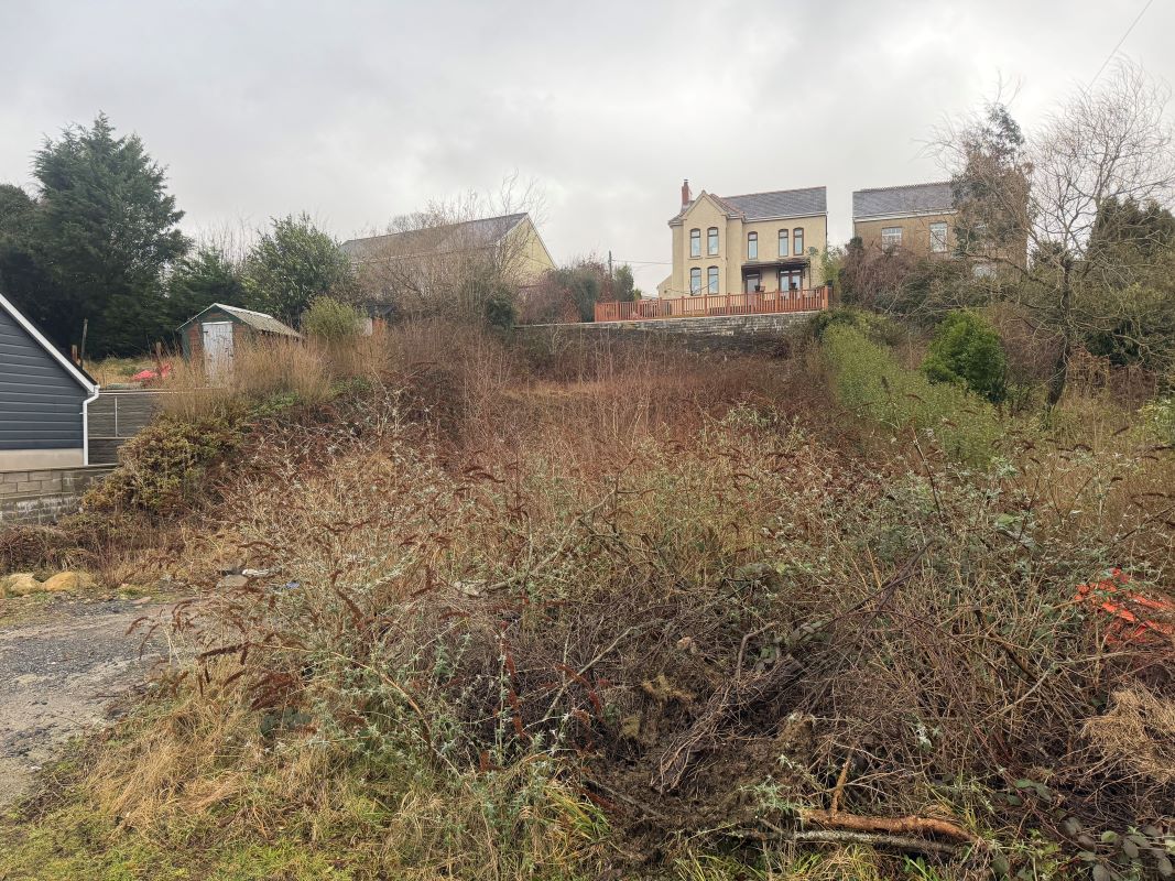 Lot Image