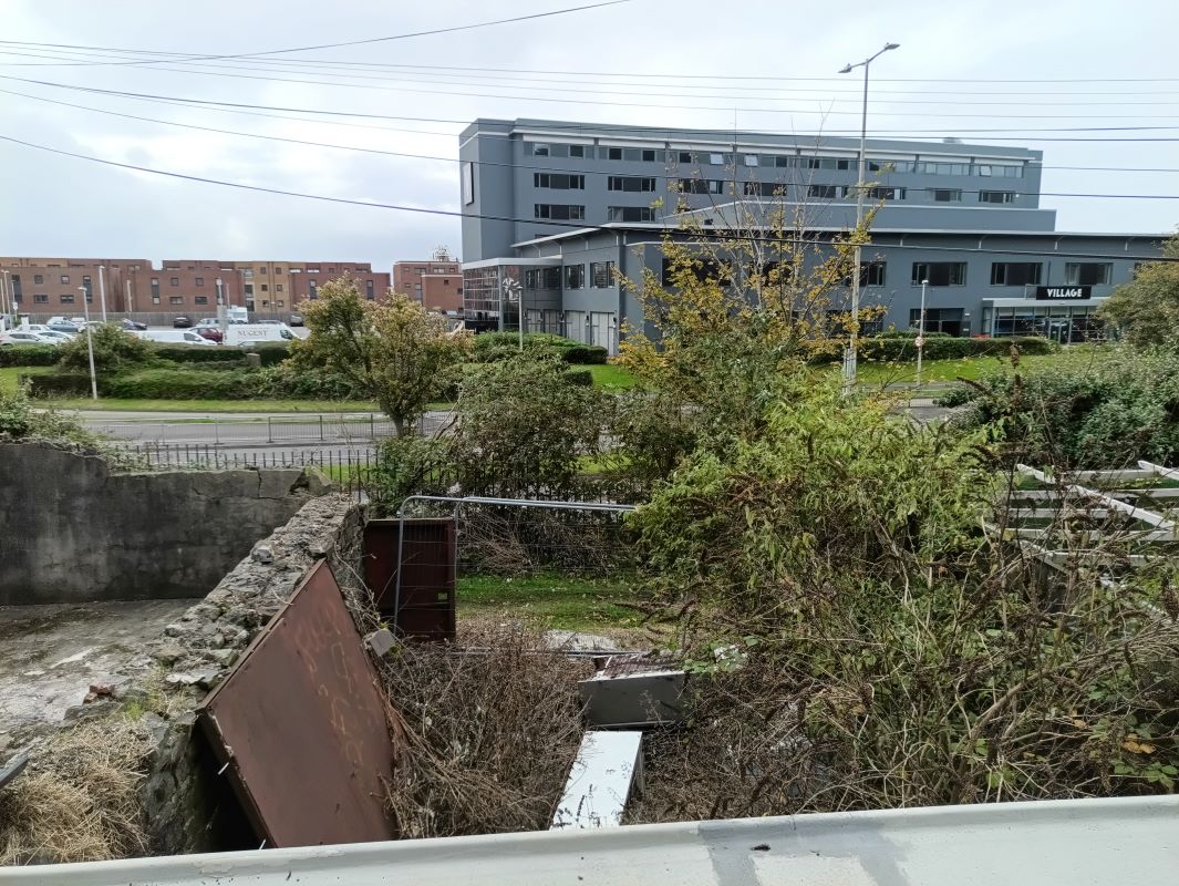 Lot Image