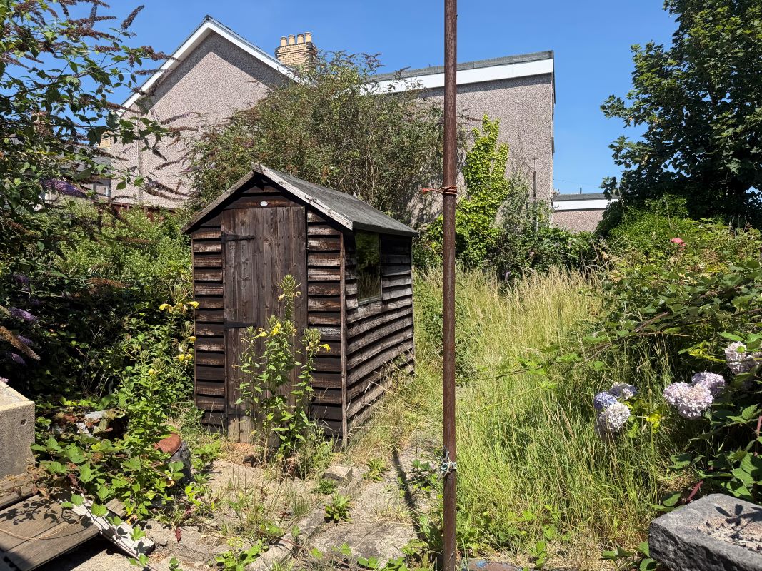 Lot Image