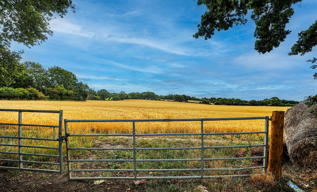 Land Plot for Sale