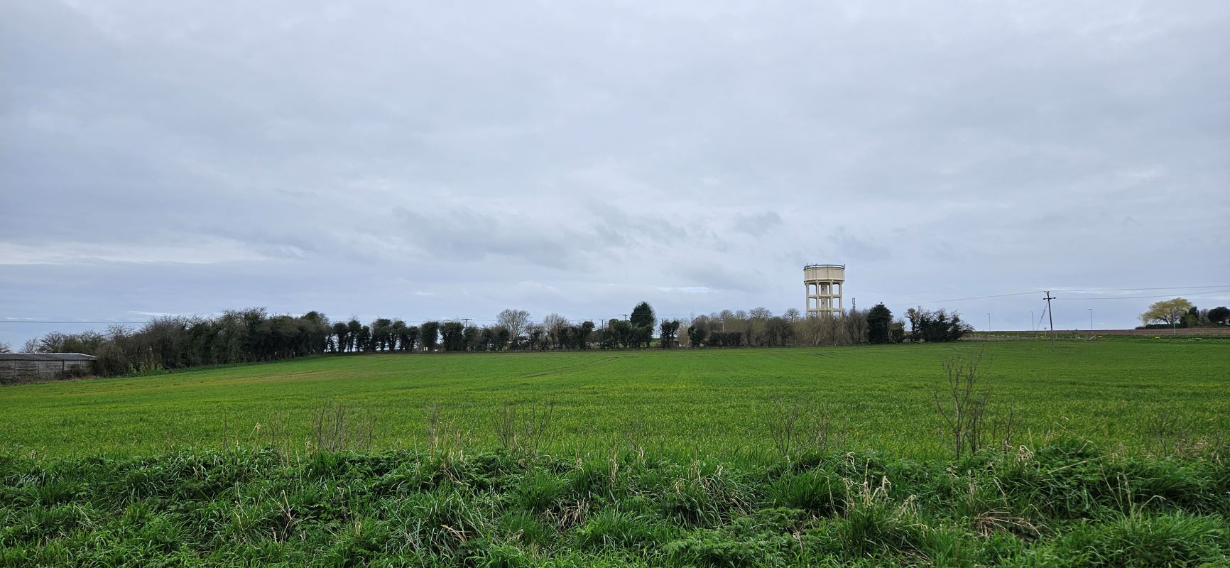 Lot Image