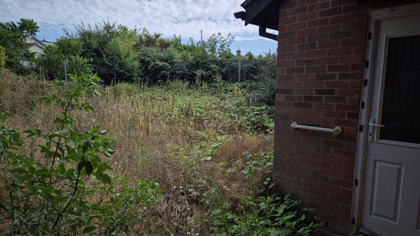 Lot Image