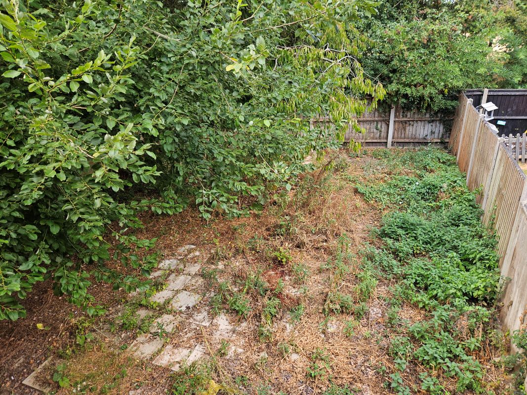 Lot Image