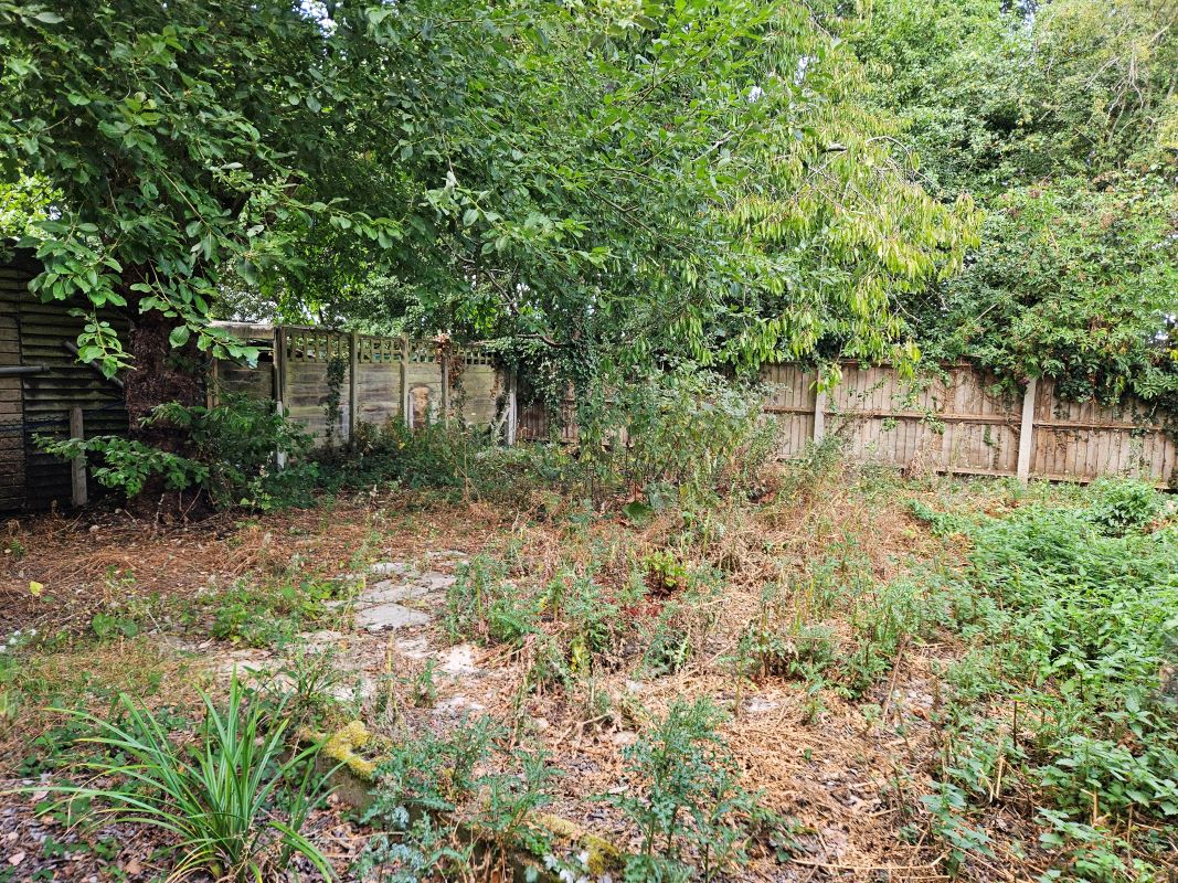 Lot Image