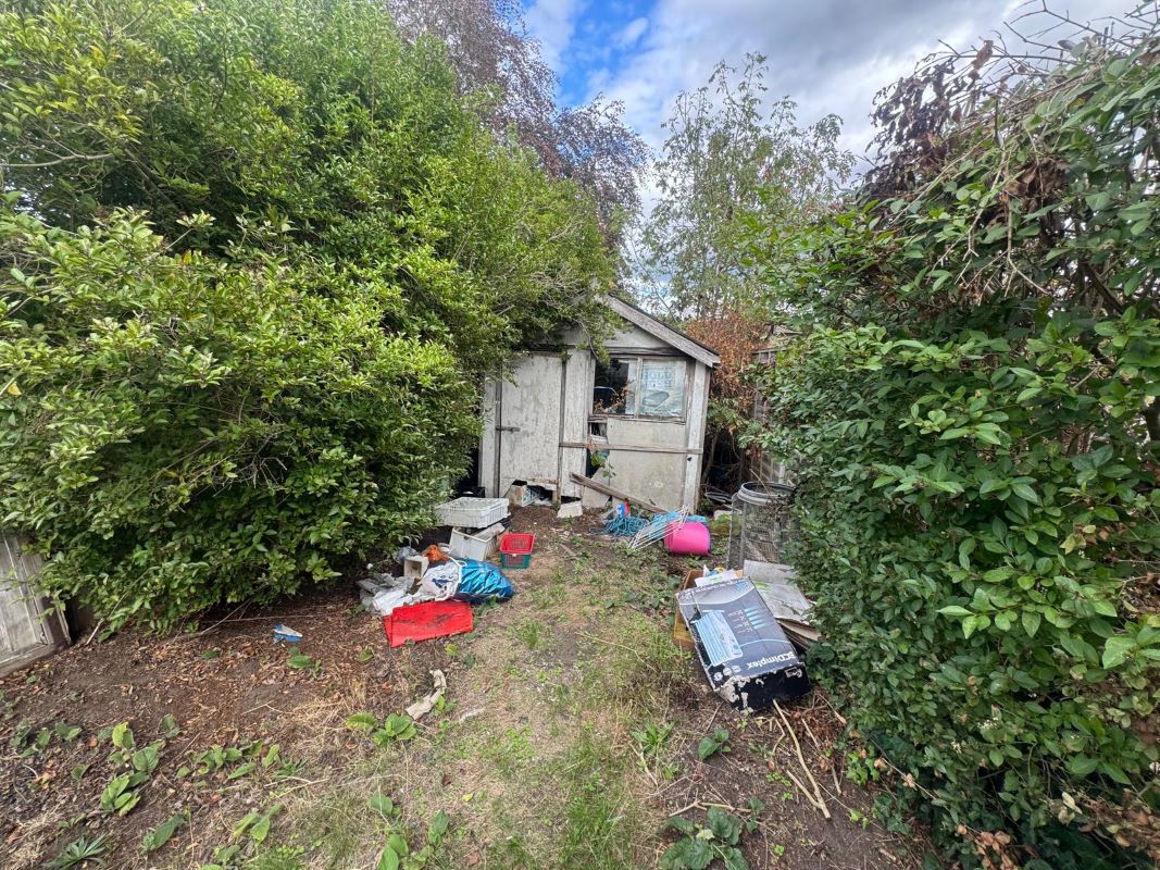 Lot Image