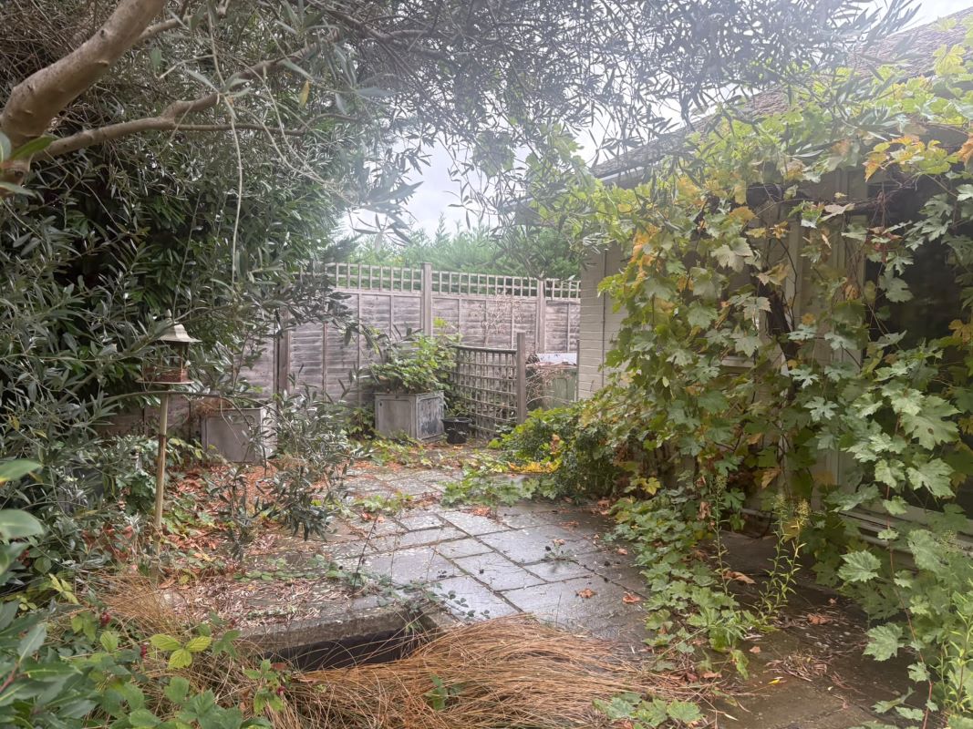 Lot Image