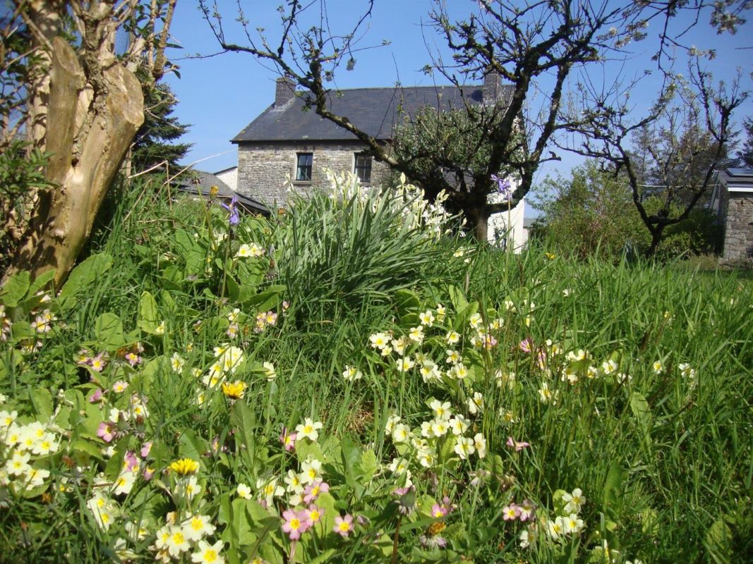 Gorslwyd Farm Sound Healing Retreat Centre, Tanygroes, Cardigan, SA43 2HZ