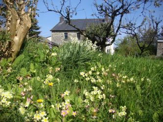 Gorslwyd Farm Sound Healing Retreat Centre, Tanygroes, Cardigan, SA43 2HZ