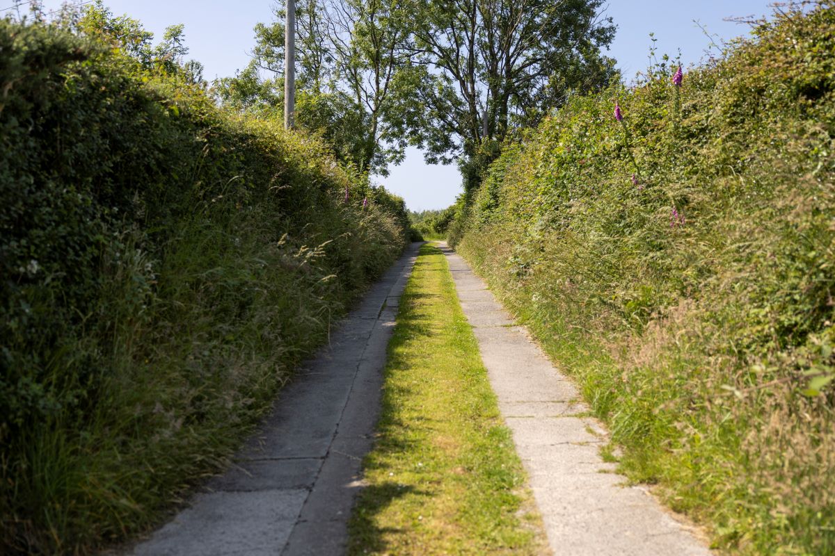 Gorslwyd Farm Sound Healing Retreat Centre, Tanygroes, Cardigan, SA43 2HZ