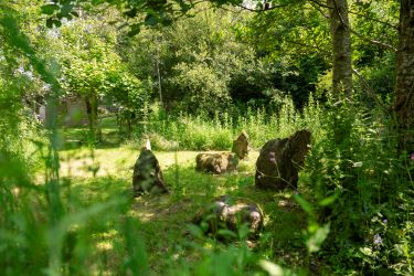 Gorslwyd Farm Sound Healing Retreat Centre, Tanygroes, Cardigan, SA43 2HZ