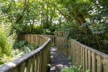 Gorslwyd Farm Sound Healing Retreat Centre, Tanygroes, Cardigan, SA43 2HZ