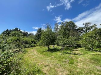 The Orchard, Reynoldston, Gower, Swansea, SA3 1AA