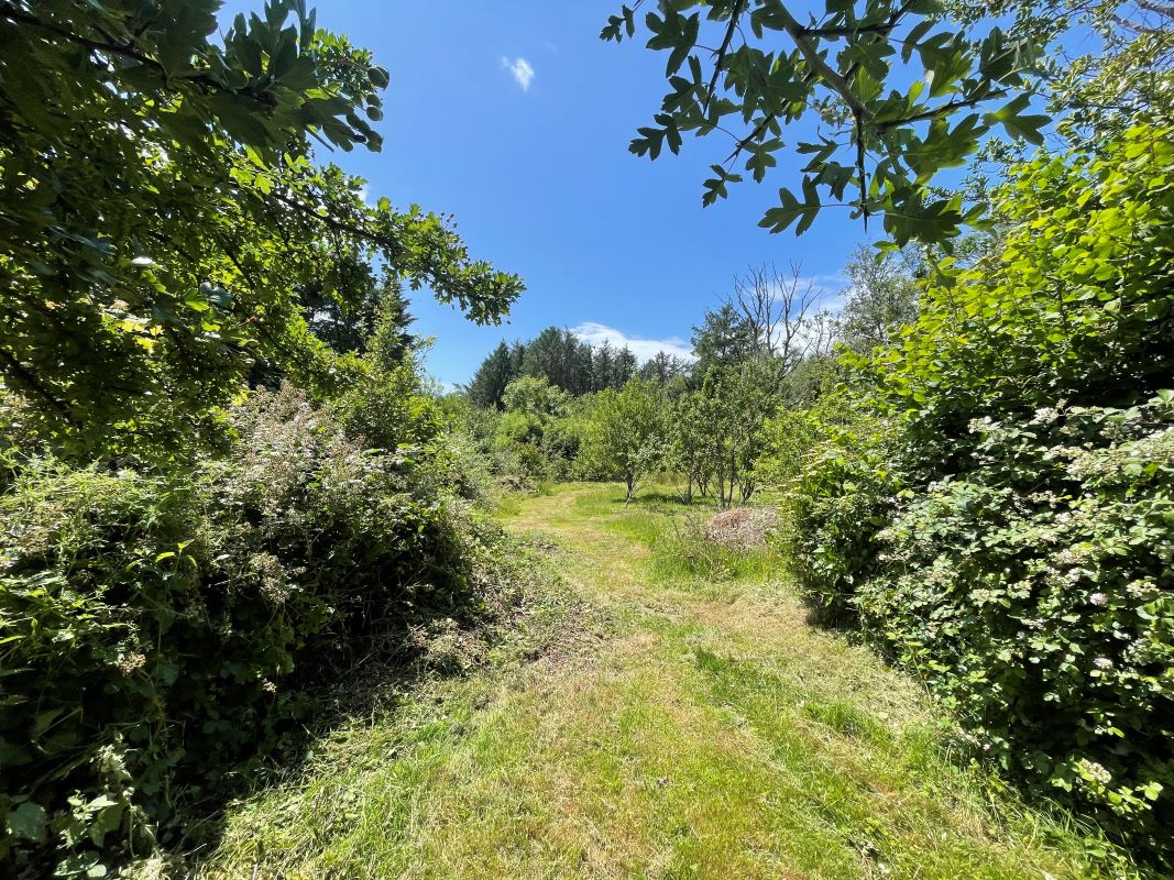 The Orchard, Reynoldston, Gower, Swansea, SA3 1AA