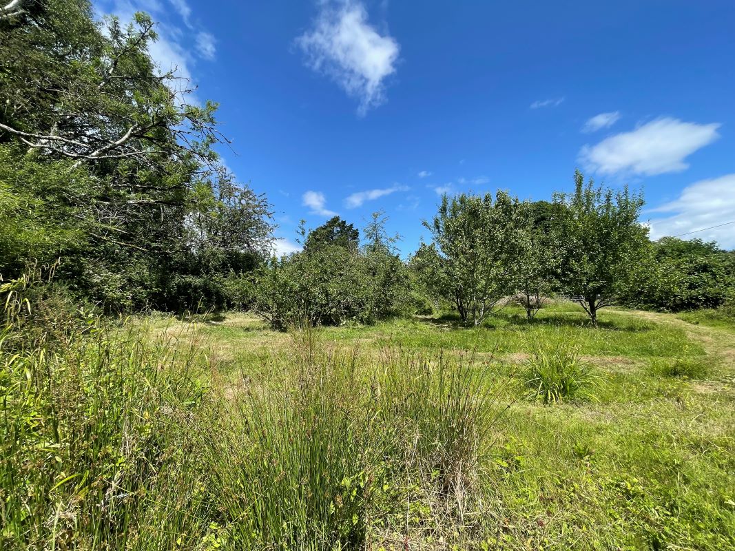 The Orchard, Reynoldston, Gower, Swansea, SA3 1AA