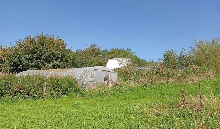 Lot Image