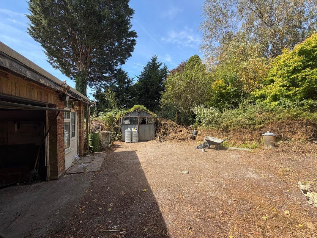 Lot Image