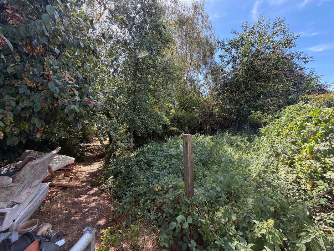 Lot Image