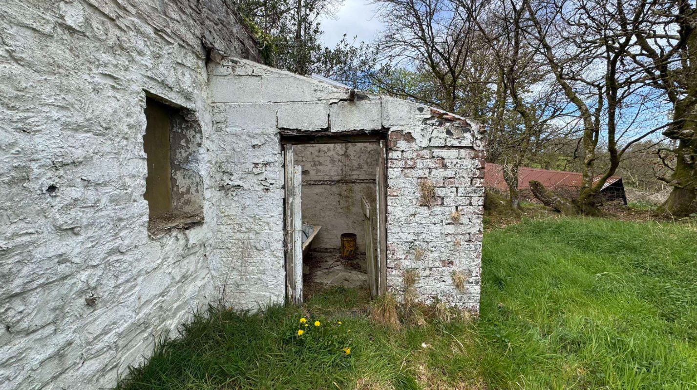 Lot Image