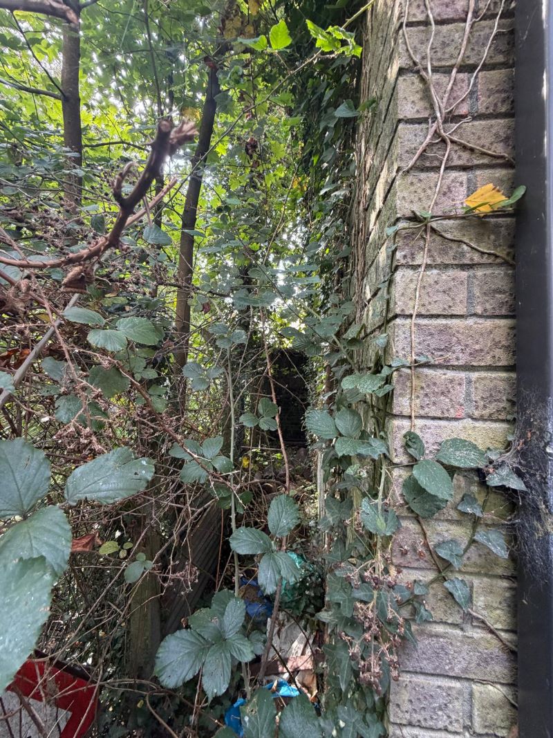 Lot Image