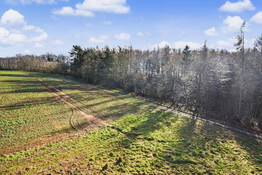 Primary Lot Photo