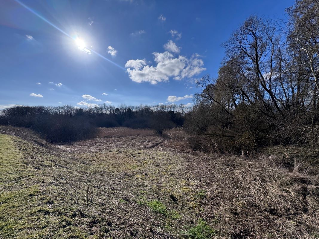 Acle Garden Machinery, Norwich Road, Acle, Norwich, Norfolk, NR13 3BY