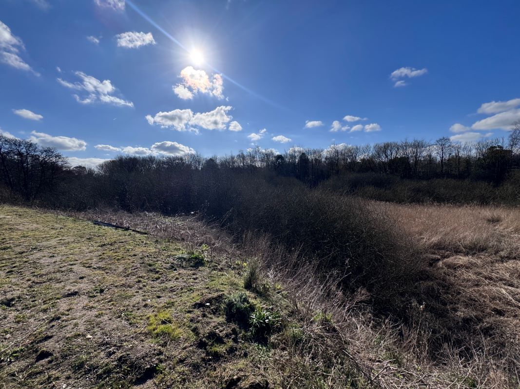 Acle Garden Machinery, Norwich Road, Acle, Norwich, Norfolk, NR13 3BY