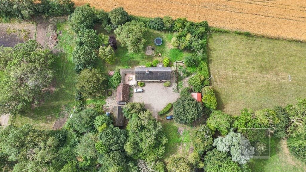 High Common Cottage, Wymondham Road, Wreningham, Norwich, Norfolk, NR16 1AY