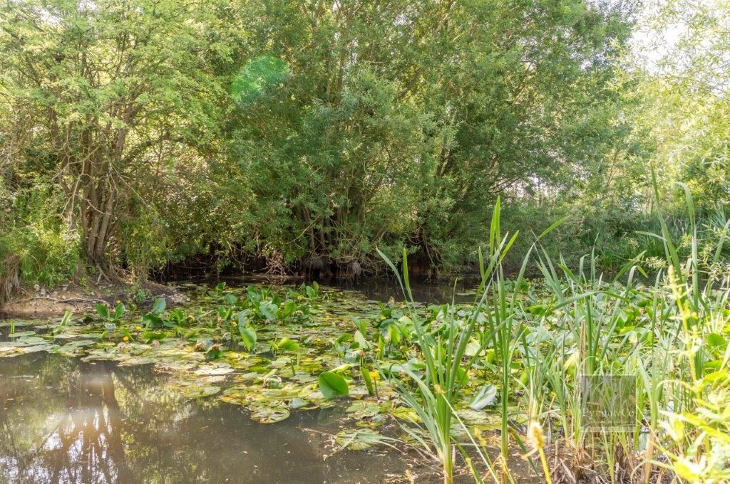 High Common Cottage, Wymondham Road, Wreningham, Norwich, Norfolk, NR16 1AY