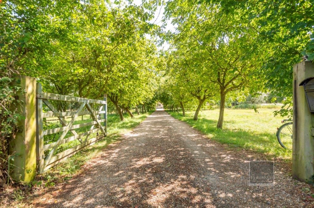 High Common Cottage, Wymondham Road, Wreningham, Norwich, Norfolk, NR16 1AY